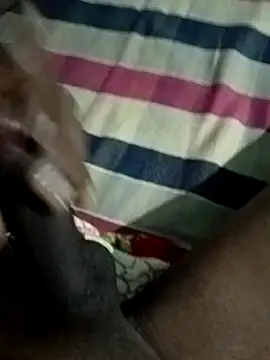 Like african online show from April 19, 2026, 8:44 pm