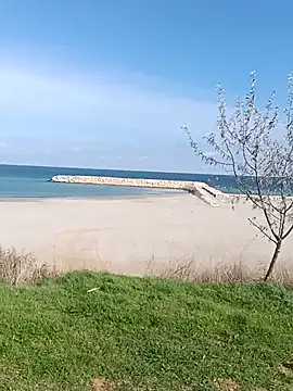 Snapshot of Saysomething3 chatting on October 22, 2025, 10:47 am Saysomething3 online show from October 22, 2025, 10:47 am