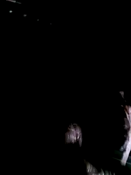 Snapshot of funcock78 chatting on October 19, 2025, 7:33 am funcock78 online show from October 19, 2025, 7:33 am