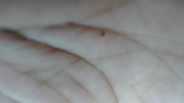 Snapshot of swt_shadow chatting on February 15, 2026, 8:08 pm swt shadow online show from February 15, 2026, 8:08 pm