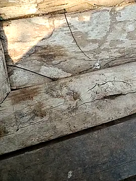 Snapshot of kummuduabbai chatting on March 3, 2026, 9:27 am kummuduabbai online show from March 3, 2026, 9:27 am