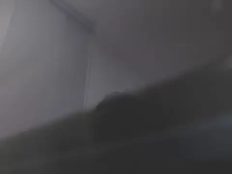 violetasweet11 online show from February 19, 2026, 7:05 am