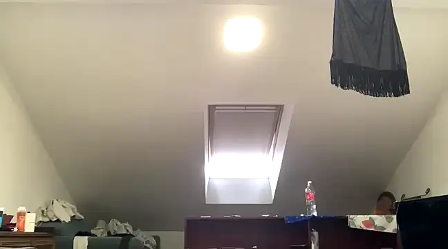 WildzMareNextLevel online show from January 4, 2025, 9:54 am