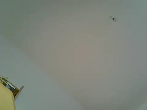 celibe du 25 online show from January 15, 2026, 10:07 am