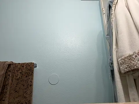 Snapshot of ClumsyLink chatting on January 17, 2026, 2:37 am ClumsyLink online show from January 17, 2026, 2:37 am