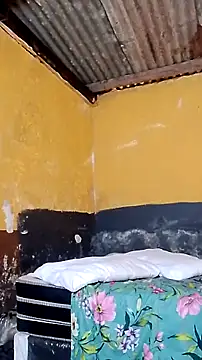 LULE37587001 online show from March 6, 2026, 1:17 pm