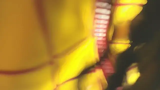 Emma Torres   online show from September 14, 2025, 12:16 pm