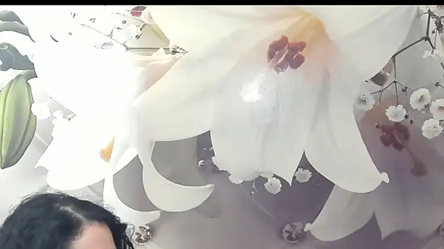 SweetArtemis online show from February 23, 2025, 11:04 pm