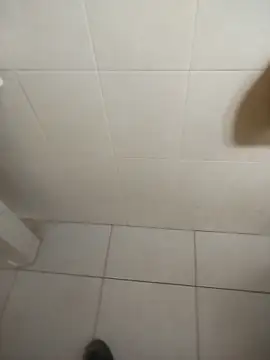 sagrado 1989 online show from February 16, 2026, 12:20 am