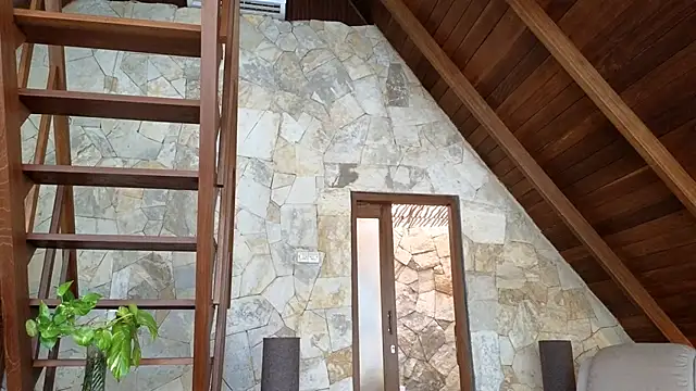 Cryptikov online show from April 5, 2026, 8:21 am