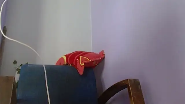 belindathompson online show from December 22, 2025, 8:09 pm