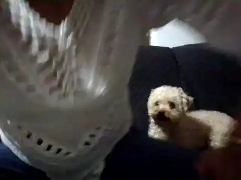 Snapshot of RAYA_1 chatting on February 2, 2025, 12:51 am RAYA 1 online show from February 2, 2025, 12:51 am