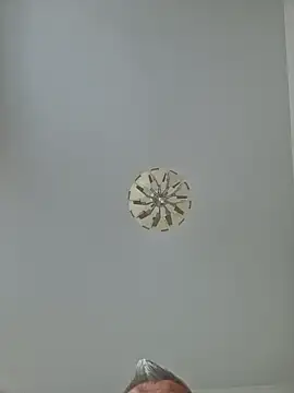 cuci45 online show from October 3, 2025, 2:18 pm