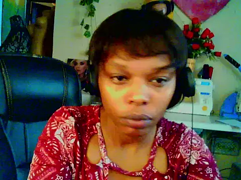 Anaconda2350 online show from July 30, 2026, 9:41 am