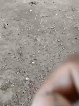 dheck2020 online show from January 7, 2025, 6:45 pm