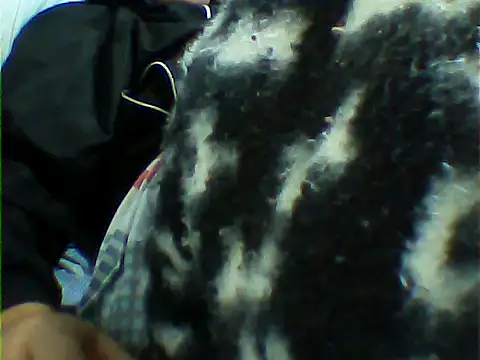 Snapshot of messi_syssy chatting on September 25, 2025, 8:37 pm messi syssy online show from September 25, 2025, 8:37 pm