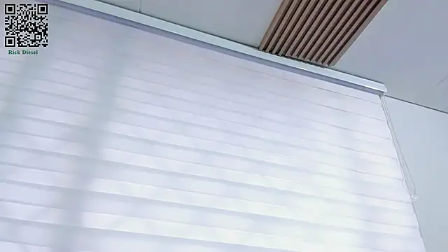 Snapshot of Rick_Diesel_ chatting on March 13, 2025, 11:41 am Rick Diesel  online show from March 13, 2025, 11:41 am