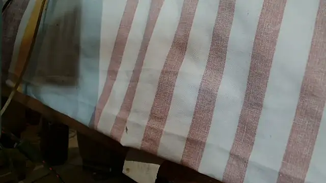 Vanessa117 online show from January 10, 2026, 6:36 pm