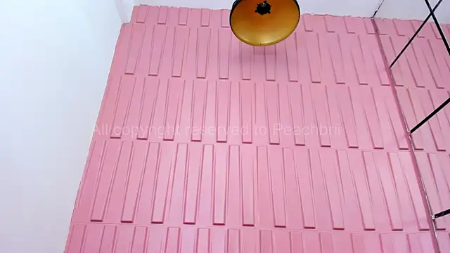 Snapshot of Briana_Wells_ chatting on October 6, 2025, 1:34 pm Briana Wells online show from October 6, 2025, 1:34 pm