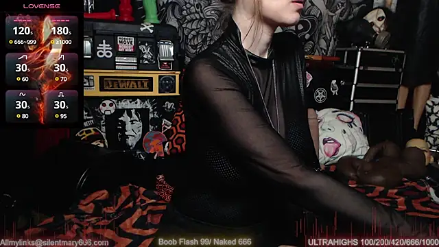 Silentmary online show from February 27, 2025, 4:54 pm