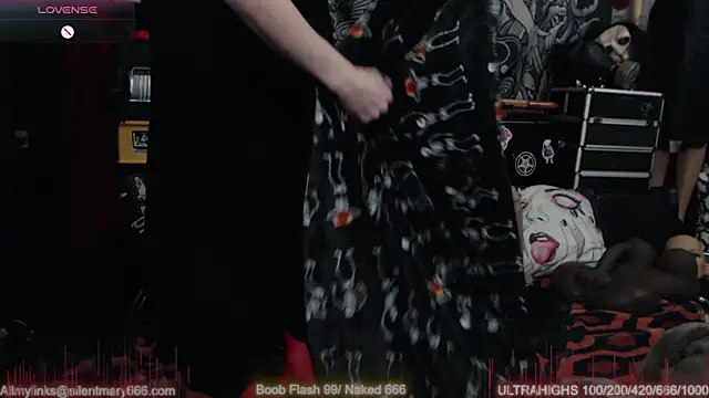 Silentmary online show from February 28, 2025, 8:28 pm