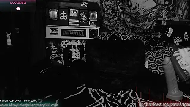 Silentmary online show from February 6, 2025, 3:37 am