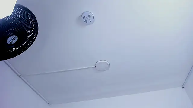 EMMAHILL1 online show from February 19, 2026, 11:07 am