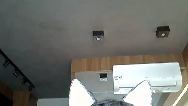 Skinny-Kitten online show from November 9, 2025, 5:06 pm