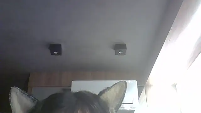 Skinny-Kitten online show from March 30, 2026, 4:47 am