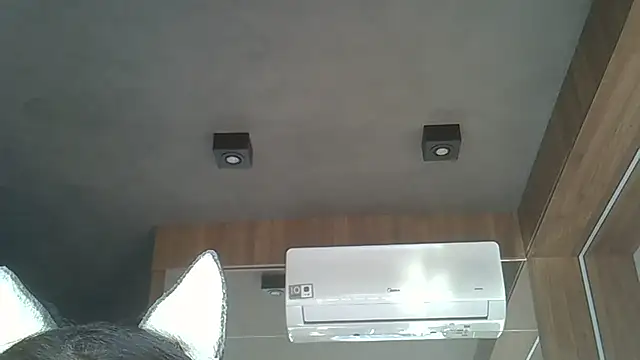 Skinny-Kitten online show from September 8, 2025, 7:24 pm