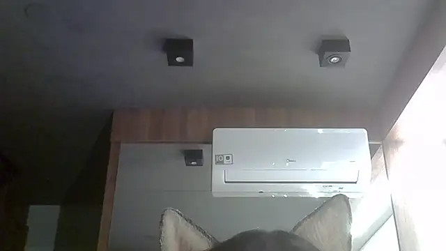 Skinny-Kitten online show from October 4, 2025, 12:23 am