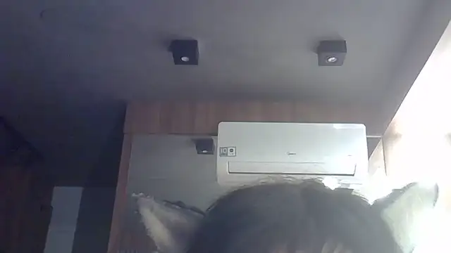 Skinny-Kitten online show from May 31, 2026, 11:16 am