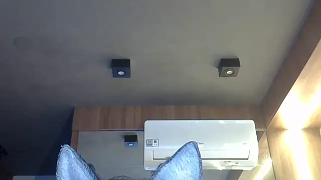 Skinny-Kitten online show from November 10, 2025, 8:41 am