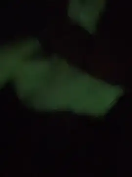 Snapshot of prekumstud chatting on September 25, 2025, 5:13 am prekumstud online show from September 25, 2025, 5:13 am