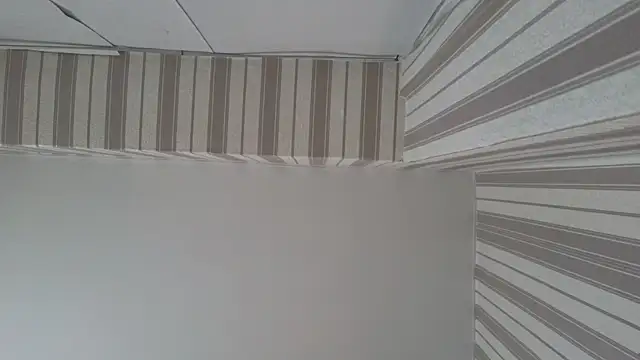 lily  foster online show from September 23, 2025, 5:58 am