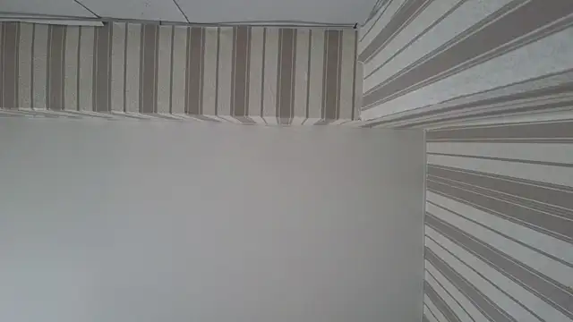 lily  foster online show from September 22, 2025, 5:46 am