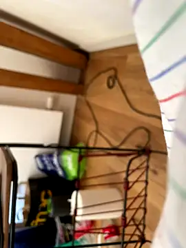 la chiennete online show from September 27, 2025, 1:06 pm