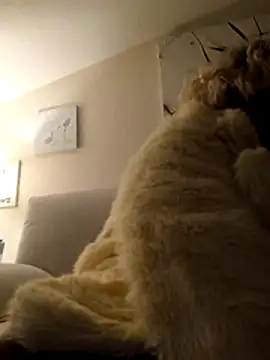 Merilulla online show from November 14, 2025, 1:20 am