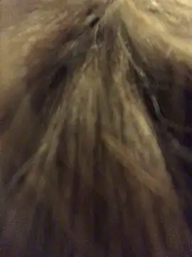  Sweet Love  online show from March 29, 2026, 1:02 pm