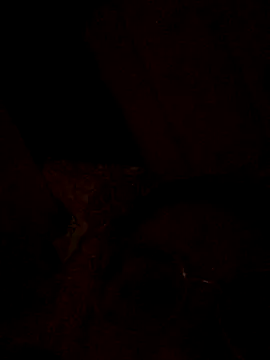 Snapshot of nalalye_cruzz_ chatting on September 29, 2025, 2:29 am nalalye cruzz online show from September 29, 2025, 2:29 am