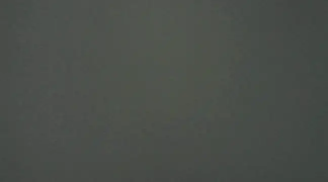 Snapshot of Gipoltergeist chatting on December 9, 2024, 2:24 am Gipoltergeist online show from December 9, 2024, 2:24 am
