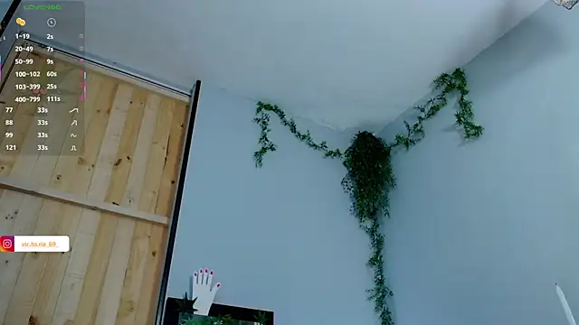 VickyJackson  online show from February 17, 2025, 7:44 pm