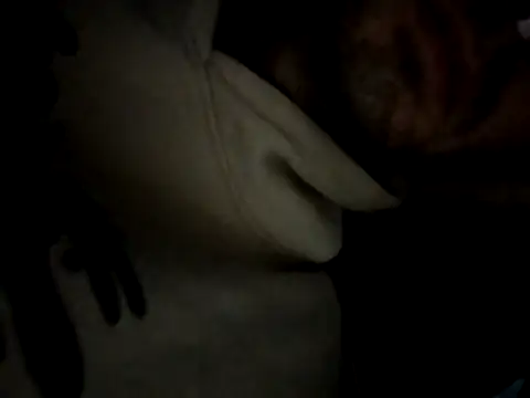 trap xandi playlist online show from October 29, 2025, 5:01 pm