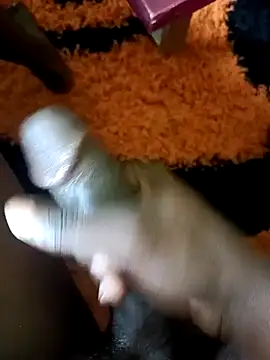 ElonDeking online show from March 2, 2025, 12:25 pm