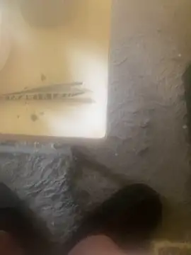 chrille82 online show from April 18, 2026, 5:43 am