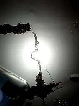 ColdVisitor online show from February 6, 2026, 1:34 am