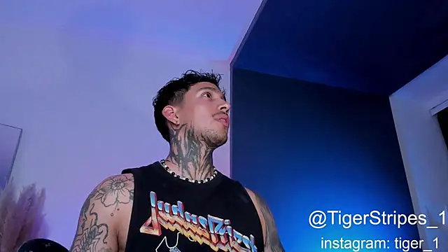 Snapshot of TigerStripes1_ chatting on February 1, 2025, 2:37 am TigerStripes1 online show from February 1, 2025, 2:37 am