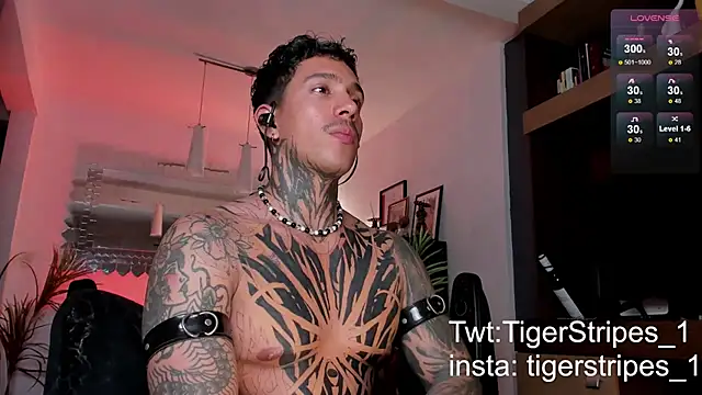 Snapshot of TigerStripes1_ chatting on February 22, 2025, 4:18 am TigerStripes1 online show from February 22, 2025, 4:18 am