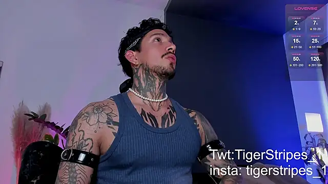 Snapshot of TigerStripes1_ chatting on March 19, 2025, 8:54 pm TigerStripes1 online show from March 19, 2025, 8:54 pm