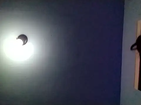 petiteDollface online show from February 2, 2025, 4:48 am